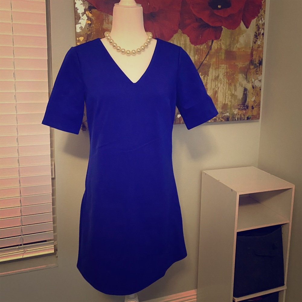 CeCe blue professional sheath.